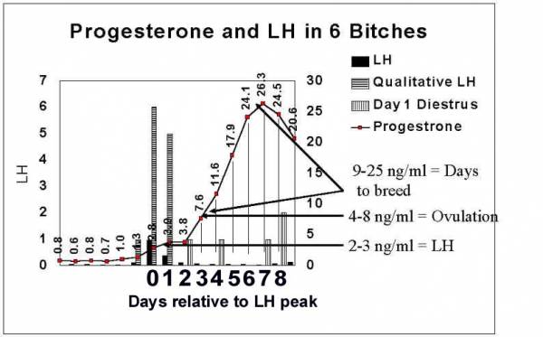 progesterone levels page 2 canine ovulation timing chart